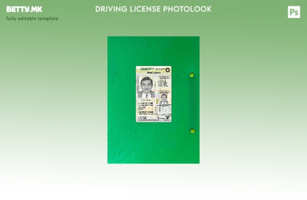 Возачка дозвола во модерен стил САД Вермонт под шаблон photolook FRONT